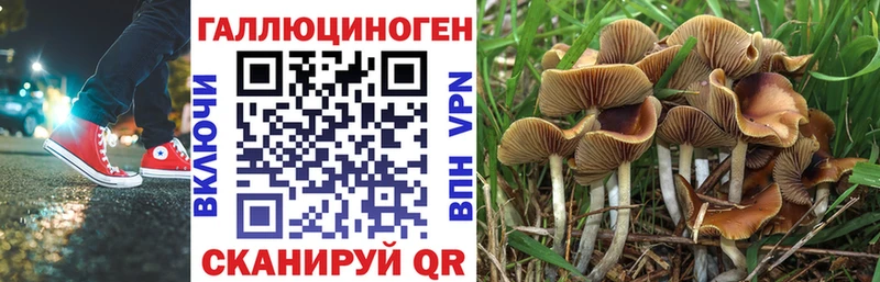Галлюциногенные грибы мухоморы  Ступино 